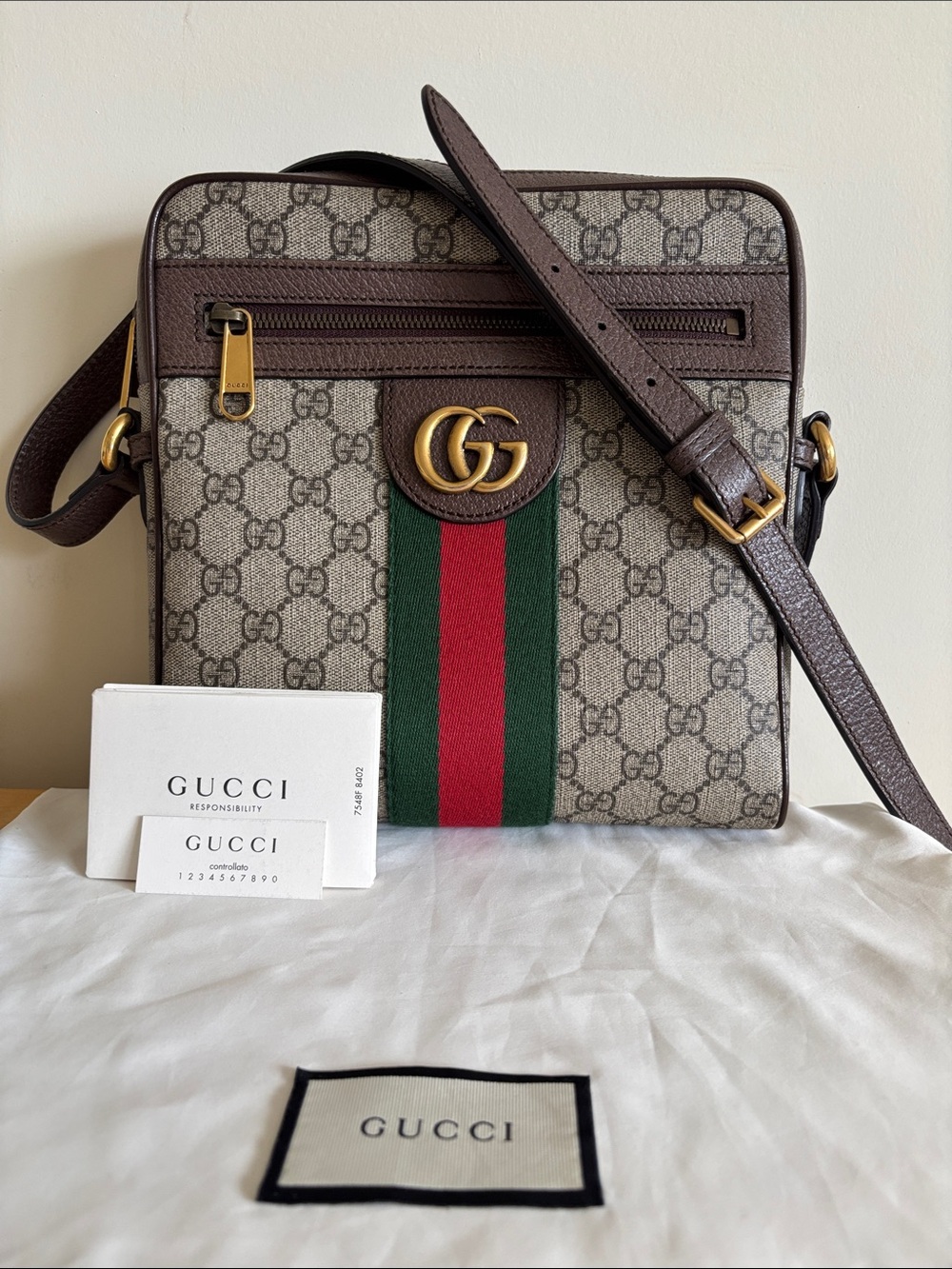 Gucci Ophidia shoulder bag